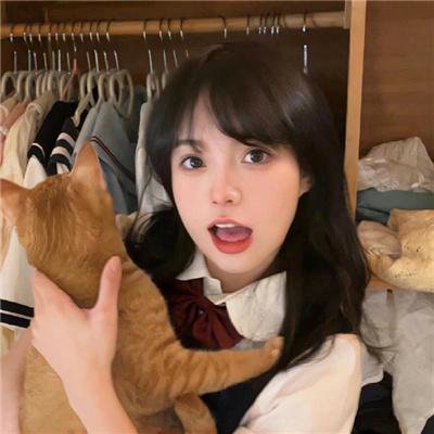 人海孤鸿
